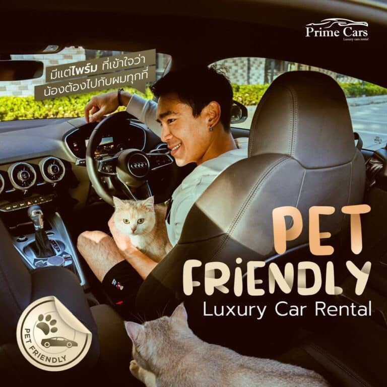 เช่ารถหรู แบบ Pet Friendly สามารถนำสัตว์เลี้ยงขึ้นรถได้